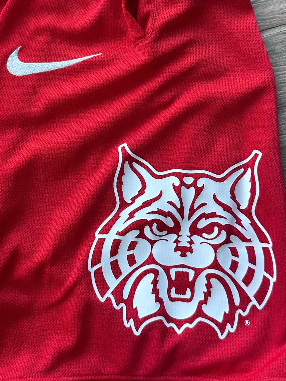 UofA Wildcat Basketball shorts